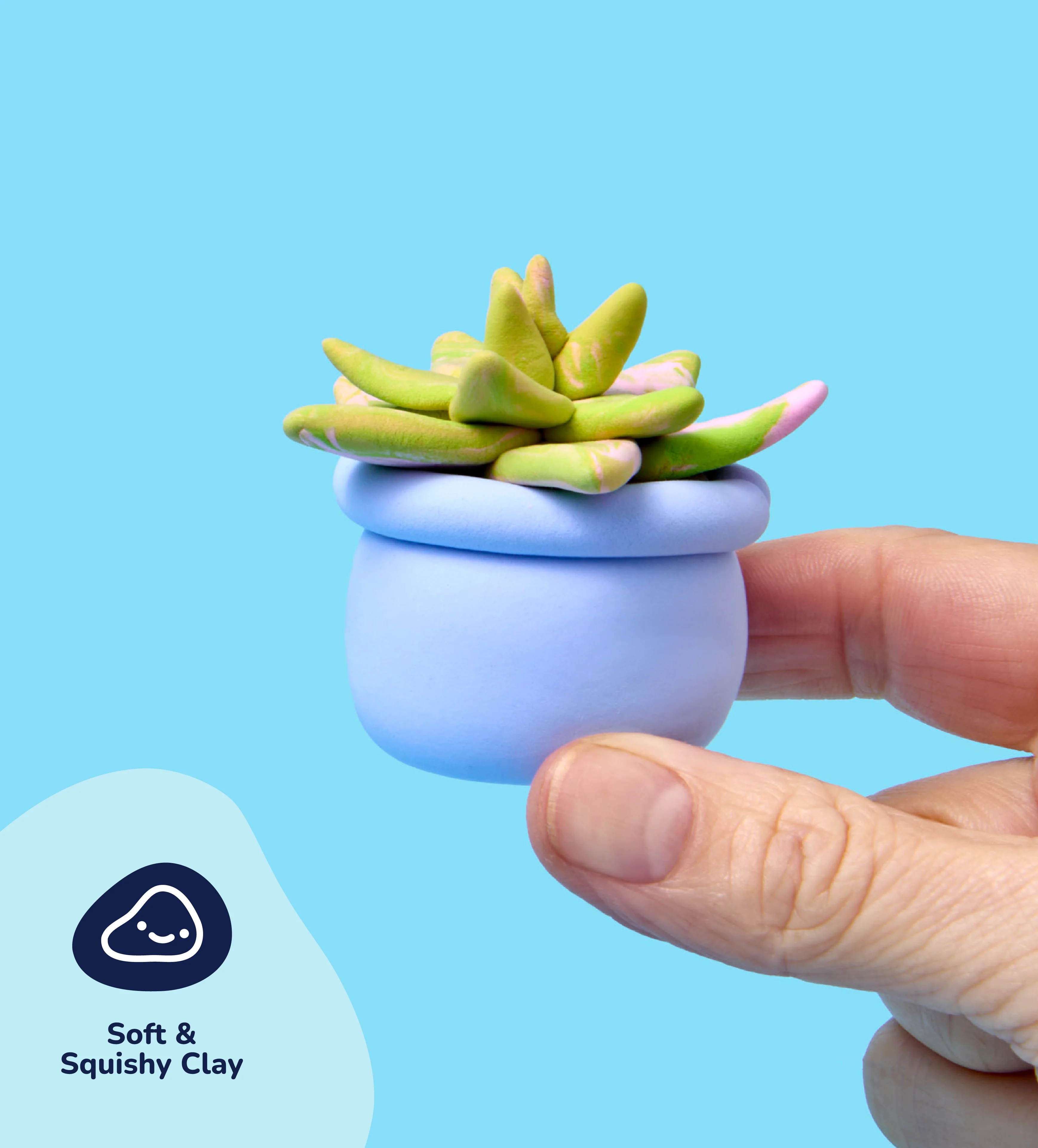 Buds & Blooms: Succulents - Image 4