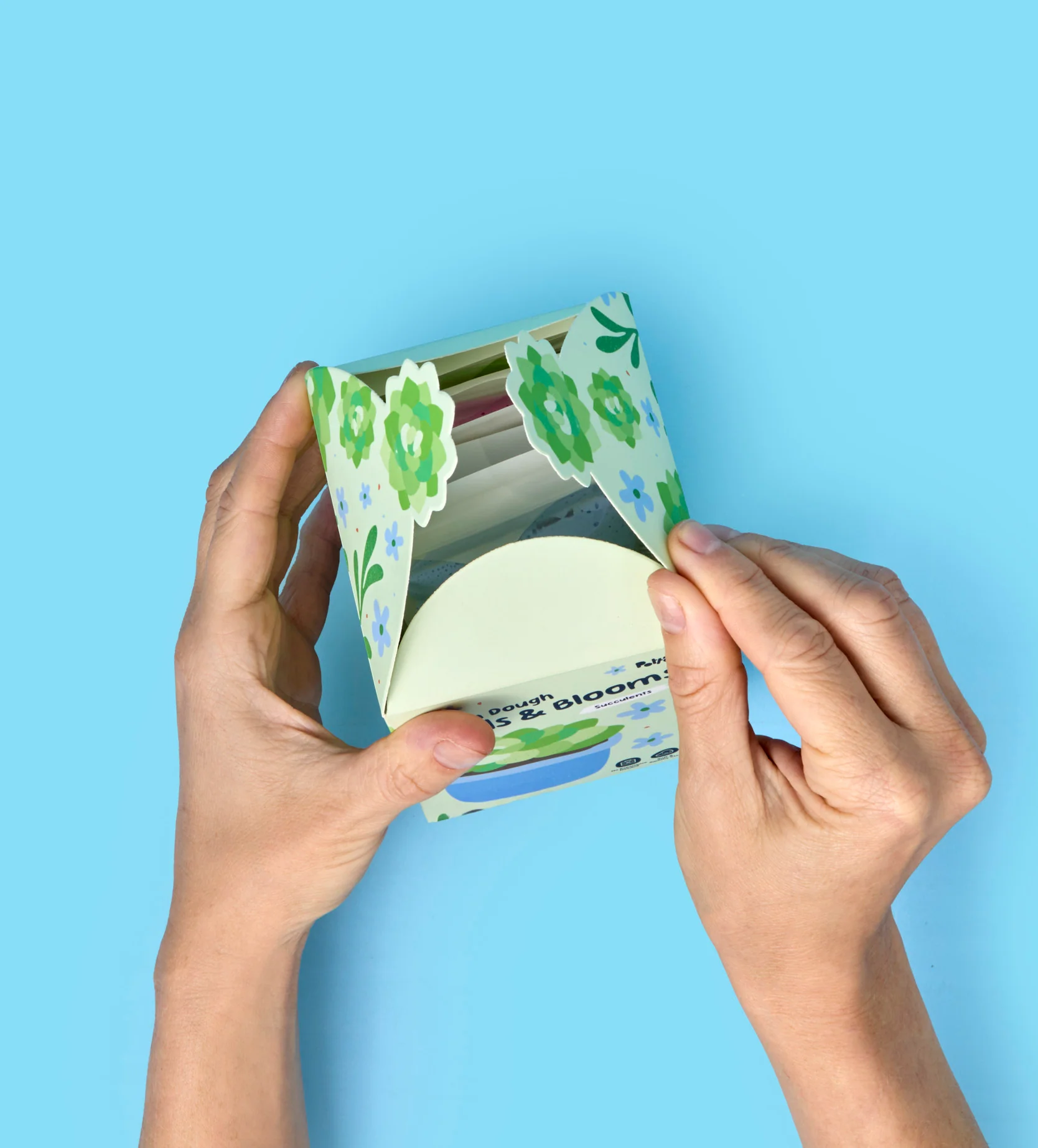 Buds & Blooms: Succulents - Image 9