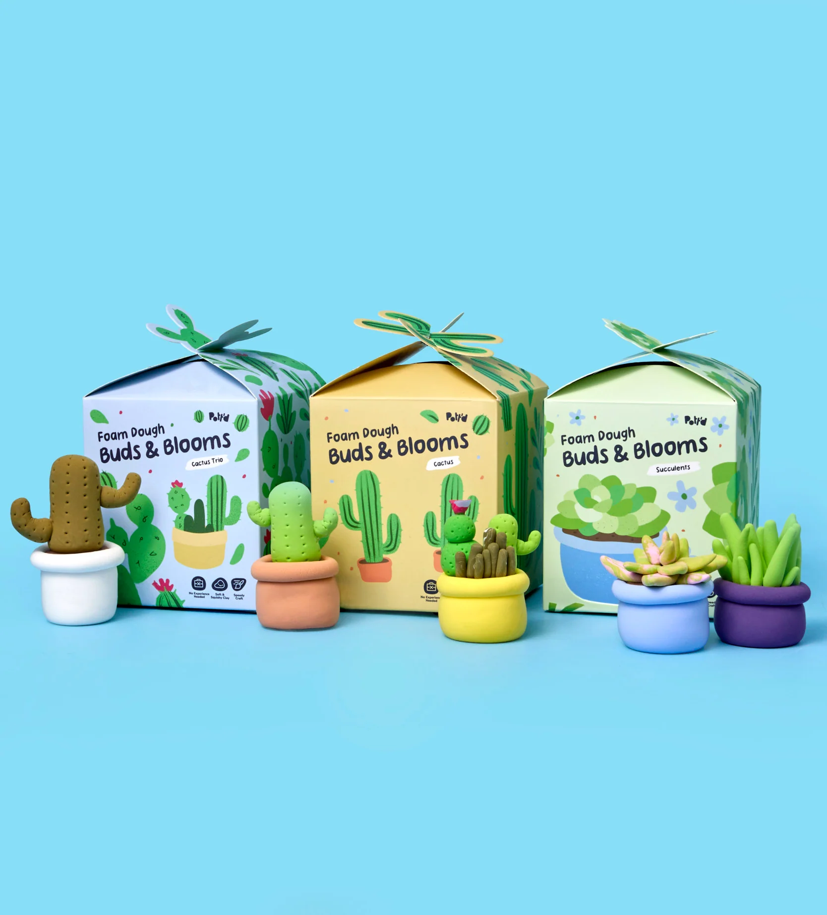 House Plant Bundle - Image 11