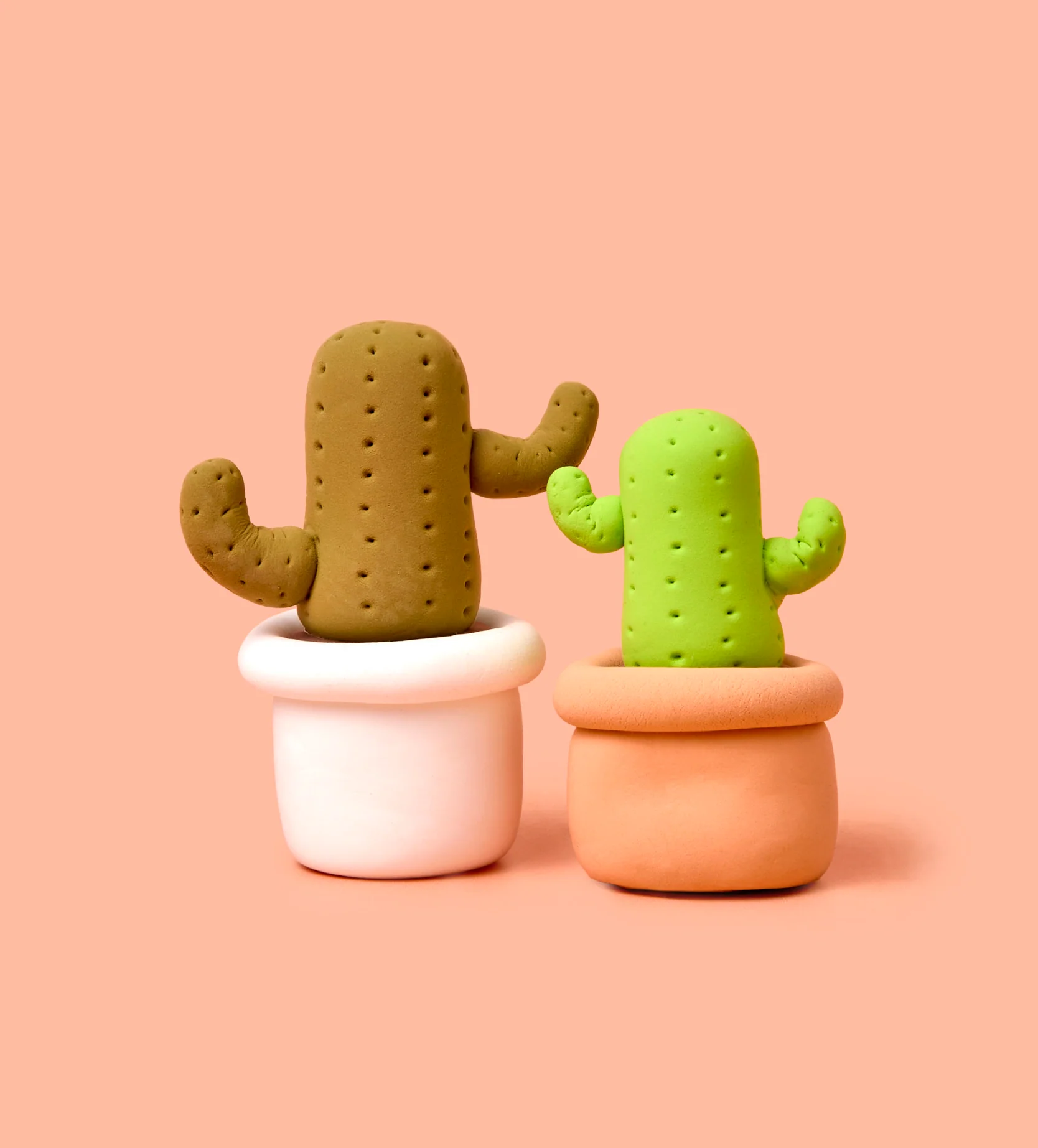 House Plant Bundle - Image 8