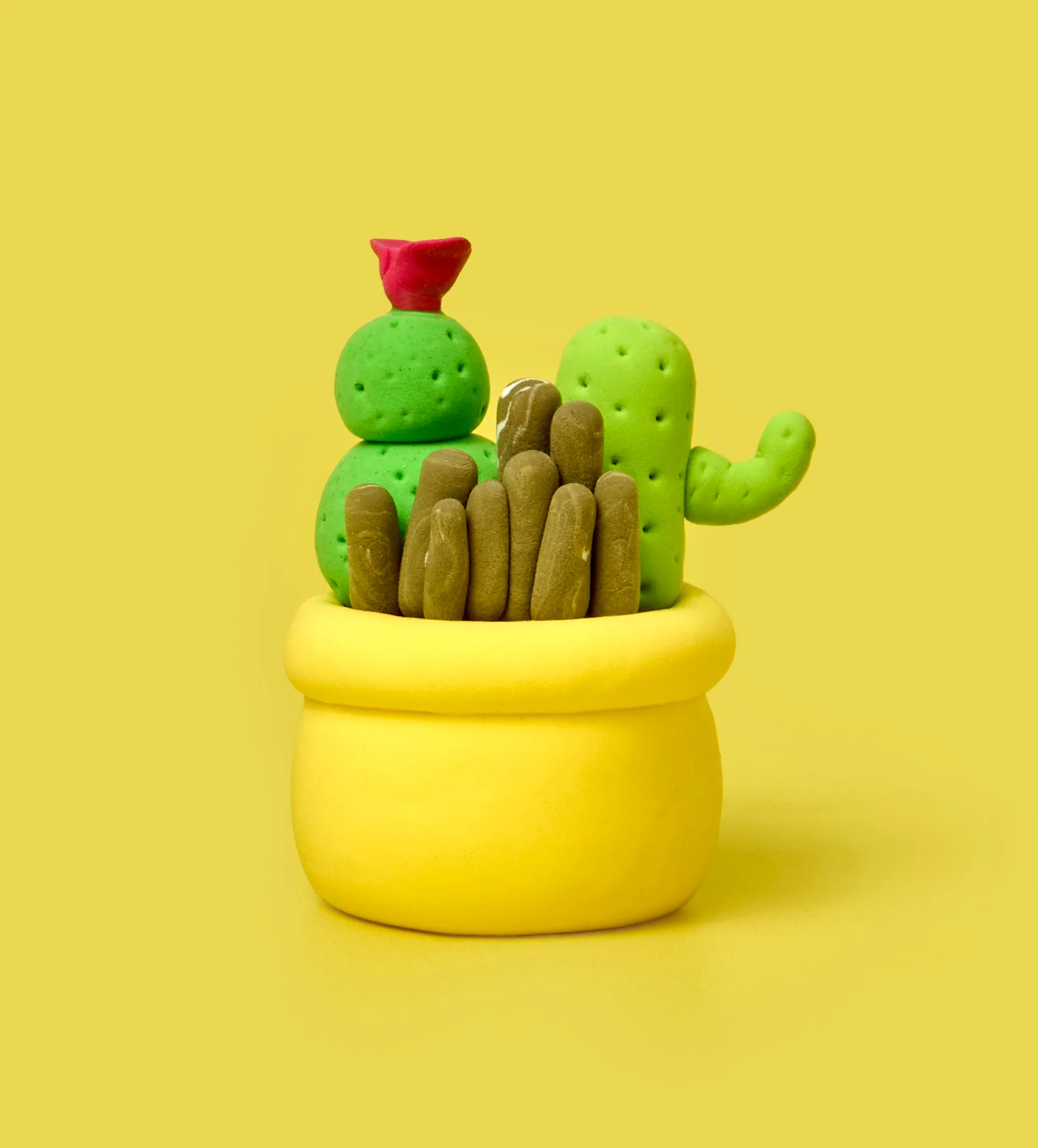 House Plant Bundle - Image 9