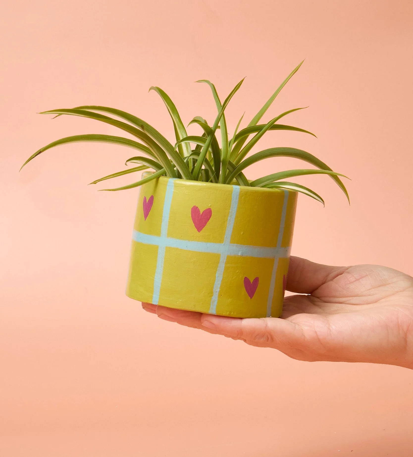 Home Pottery Kit - Image 130