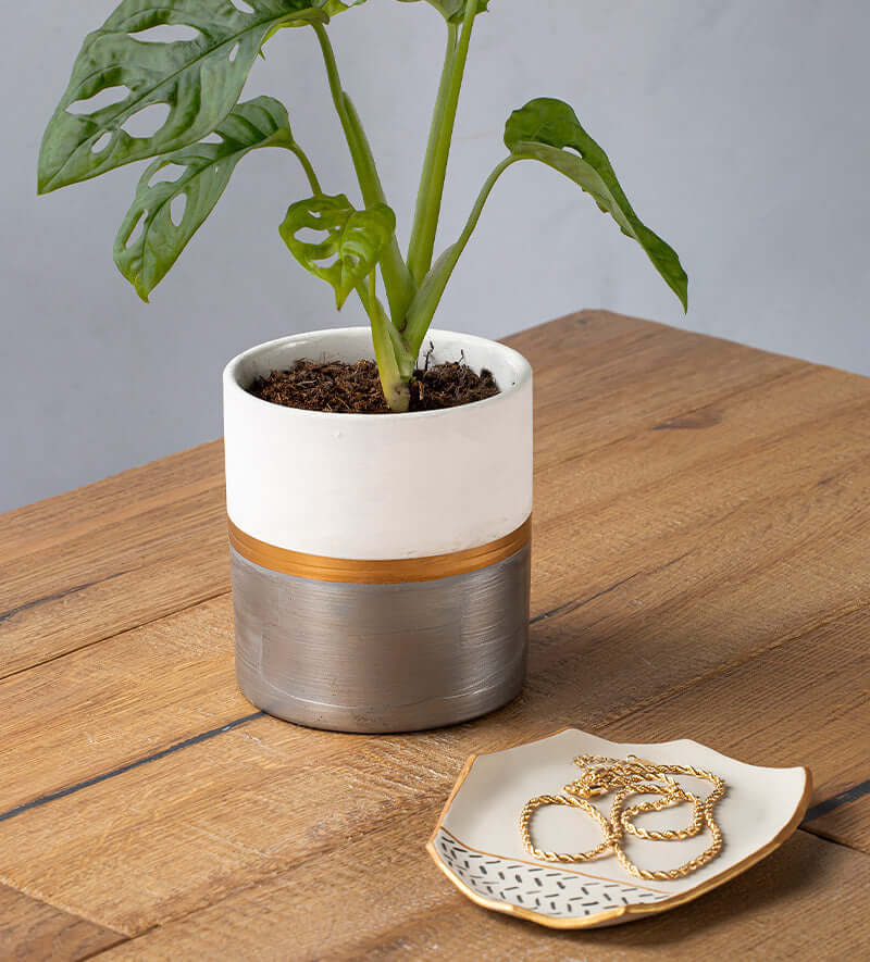 Pottery Paints - Image 47