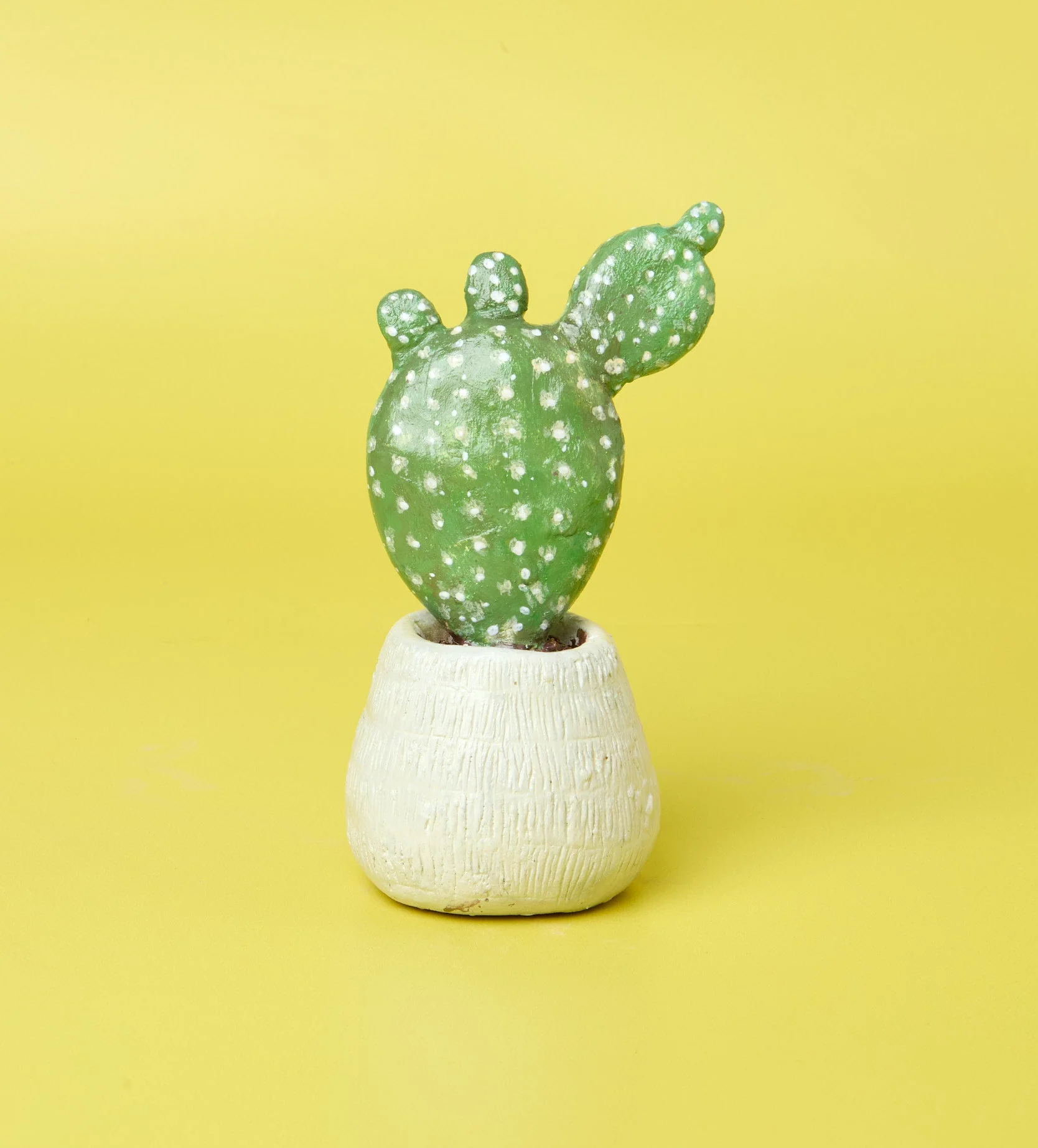 Succulent Sculptures - Image 8