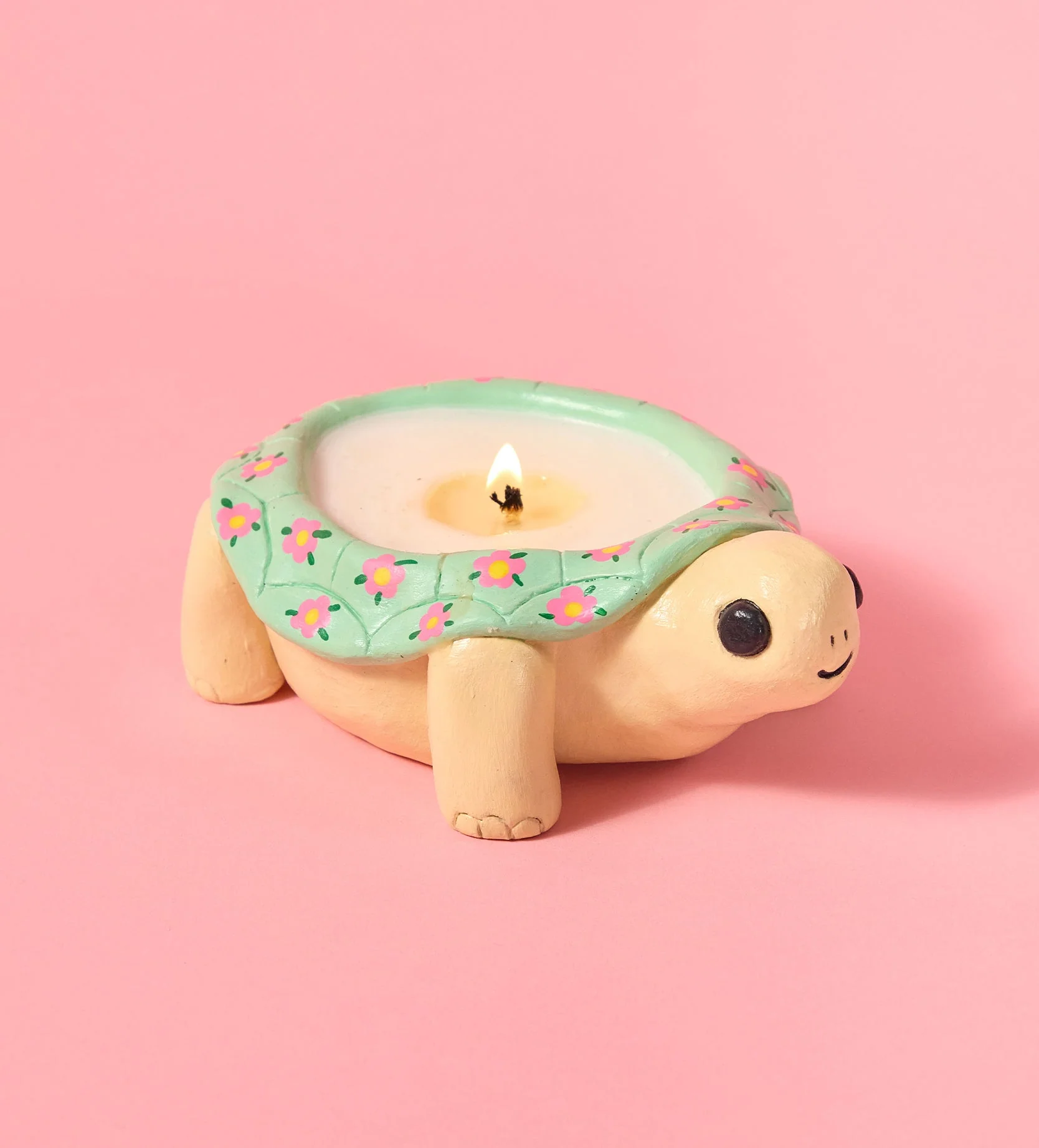 Ted the Turtle - Image 7